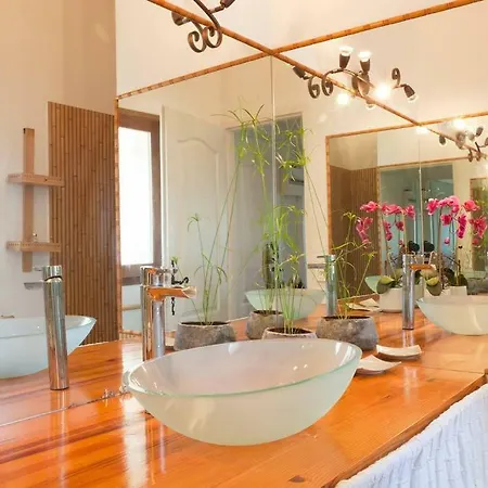Le Des Garrigues Holiday home *